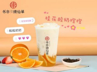 奶茶品牌加盟还是茶颜悦色更靠谱!